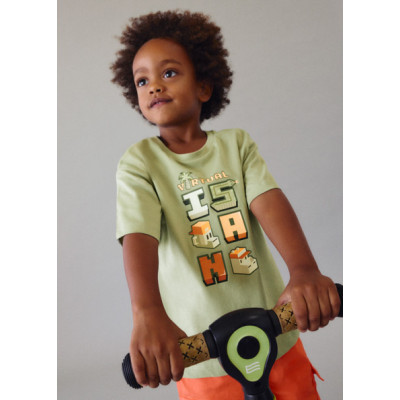 Camiseta manga curta