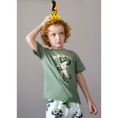 Camiseta manga curta