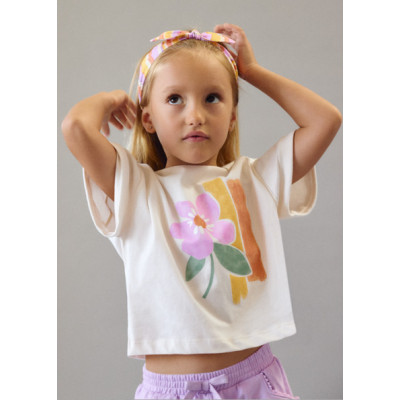 Camiseta manga curta