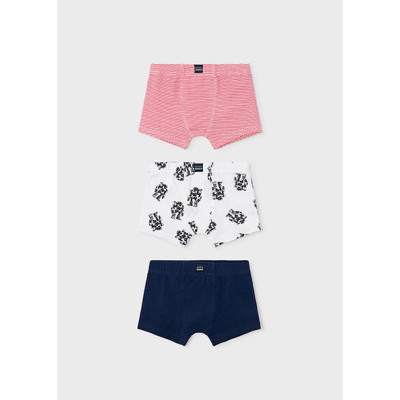 Boxer
