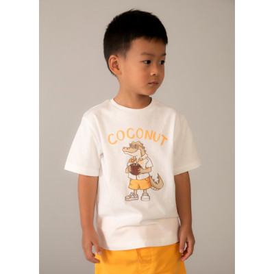 Camiseta manga curta