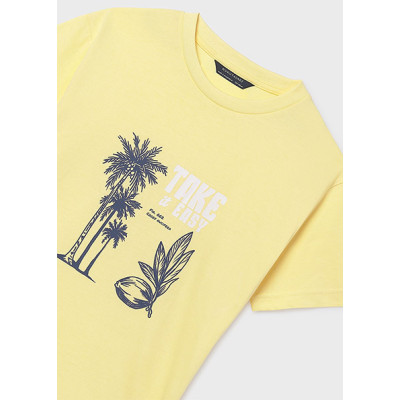 Camiseta manga curta