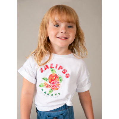 Camiseta manga curta