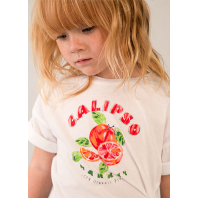 Camiseta manga curta