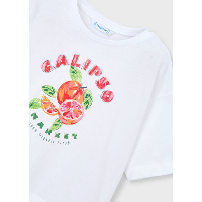Camiseta manga curta