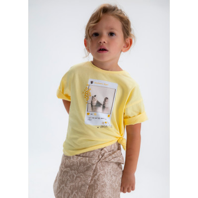 Camiseta manga curta
