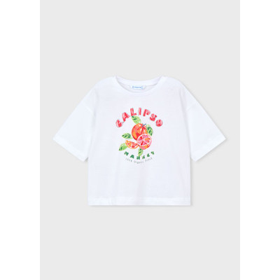 Camiseta manga curta