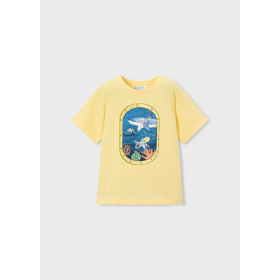 Camiseta manga curta