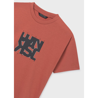 Camiseta manga curta