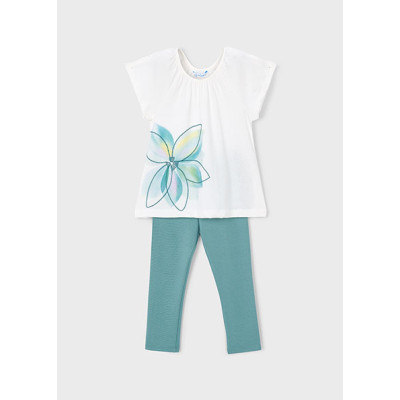 Conj. leggings