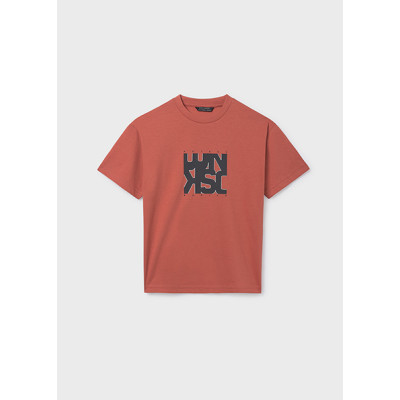Camiseta manga curta