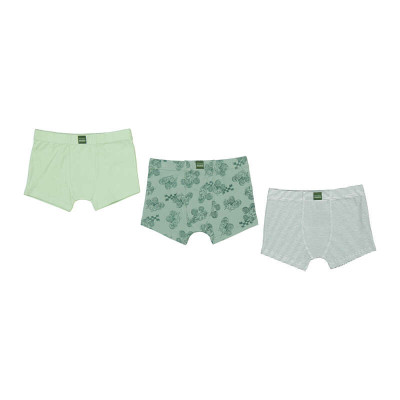 Boxer