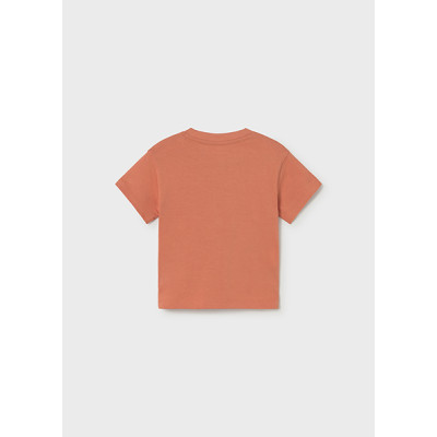 Camiseta manga curta