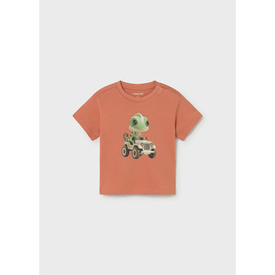 Camiseta manga curta