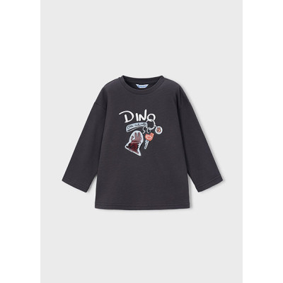 Camisola lenticular