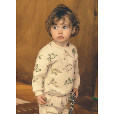 Sweat estampada dinossauros