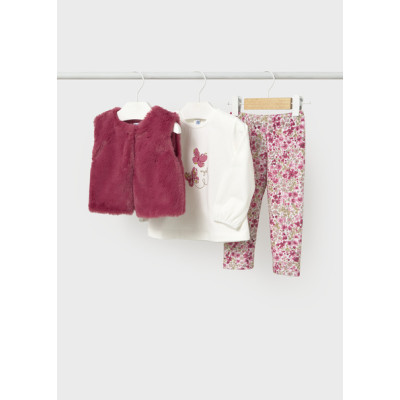 Conj. leggings colete pelo
